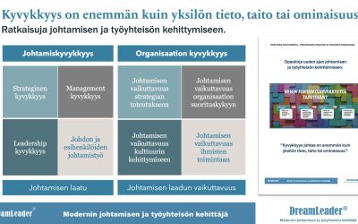 Sysimustaa suomalaista johtamista? Yksilökeskeinen ajattelu on suomalaisen johtamisen ja työyhteisön kehittämisen suurin ongelma.
