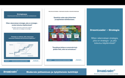 Kaipaatko uutta ajattelua ja/tai tukea strategiatyössä onnistumiseen?
